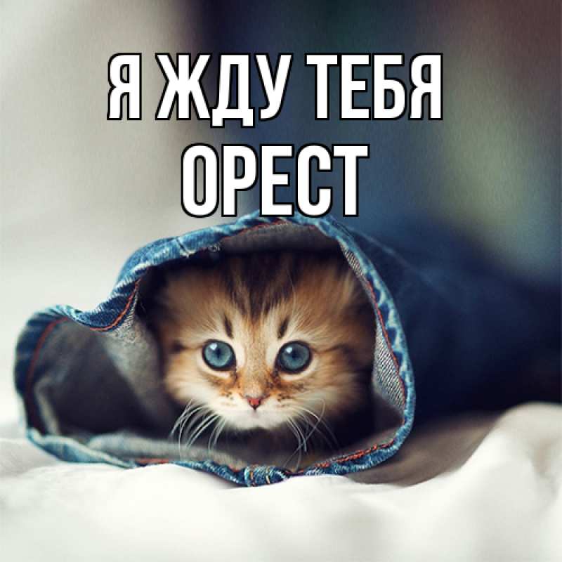 Открытка с именем, Орест, Я жду тебя
