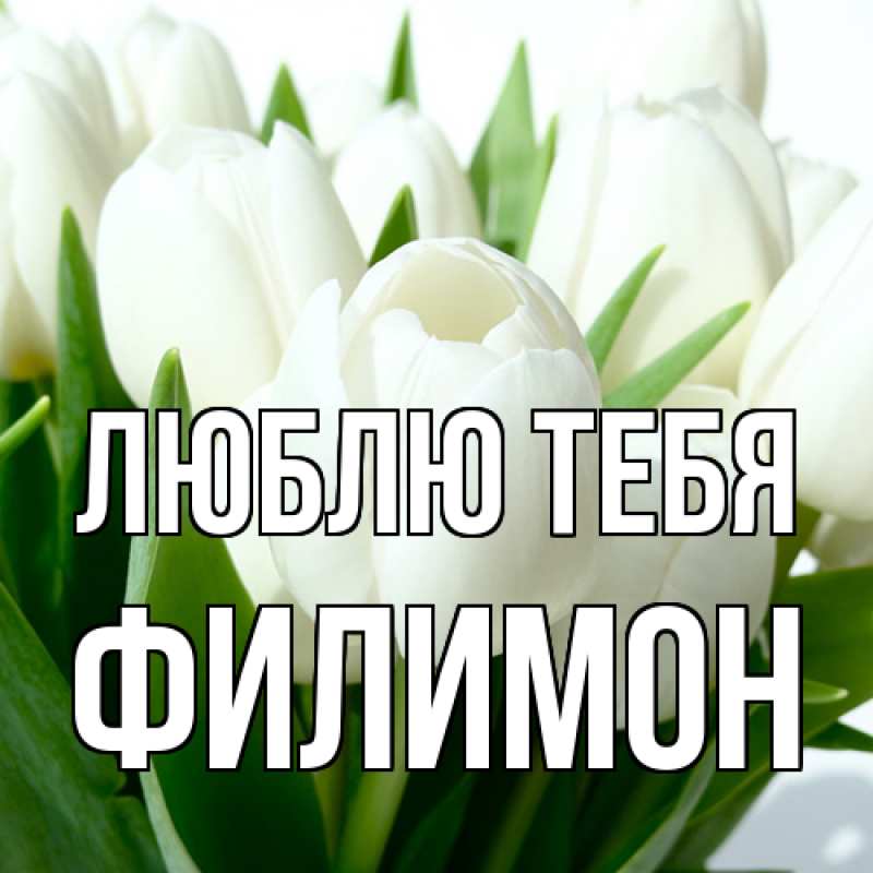 Картинка Люблю тебя, Филимон