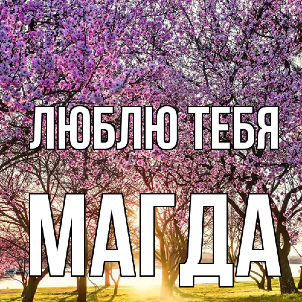 Открытка на каждый день с именем, Магда Люблю тебя международный женский день Прикольная открытка с пожеланием онлайн скачать бесплатно 