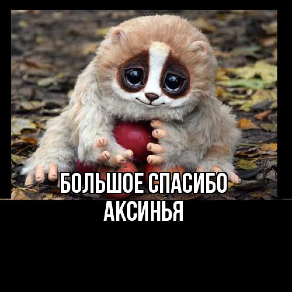 Открытка на каждый день с именем, Аксинья Большое спасибо прикольное животное Прикольная открытка с пожеланием онлайн скачать бесплатно 