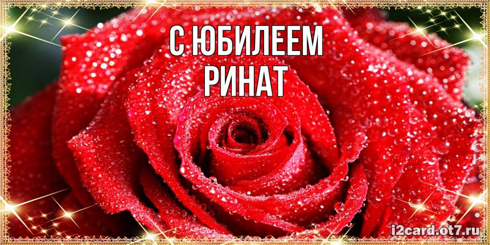 Открытка на каждый день с именем, Ринат C юбилеем роса и роза. открытка с красивой розой Прикольная открытка с пожеланием онлайн скачать бесплатно 