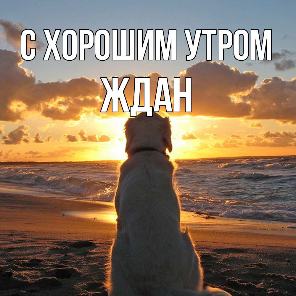 Открытка на каждый день с именем, Ждан С хорошим утром восход солнца Прикольная открытка с пожеланием онлайн скачать бесплатно 