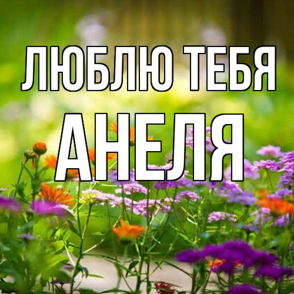 Открытка на каждый день с именем, Анеля Люблю тебя цветы Прикольная открытка с пожеланием онлайн скачать бесплатно 