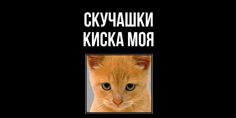 Картинка Скучашки, Киска моя