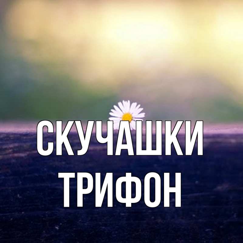 Картинка Скучашки, Трифон
