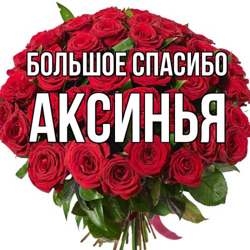 Картинка Большое спасибо, Аксинья