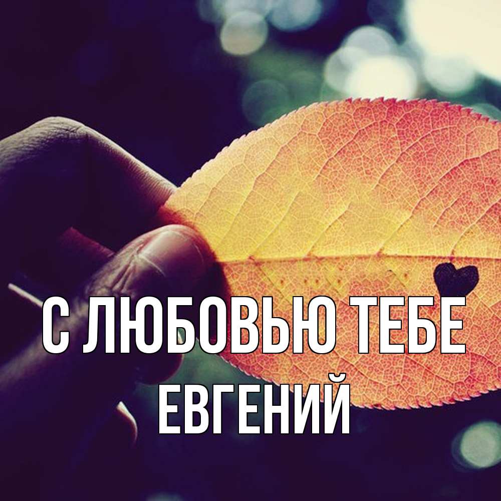 Открытка на каждый день с именем, Евгений С любовью тебе держу лист Прикольная открытка с пожеланием онлайн скачать бесплатно 