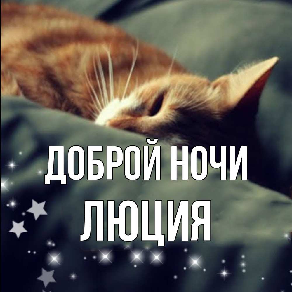 Открытка на каждый день с именем, Люция Доброй ночи кроватка Прикольная открытка с пожеланием онлайн скачать бесплатно 