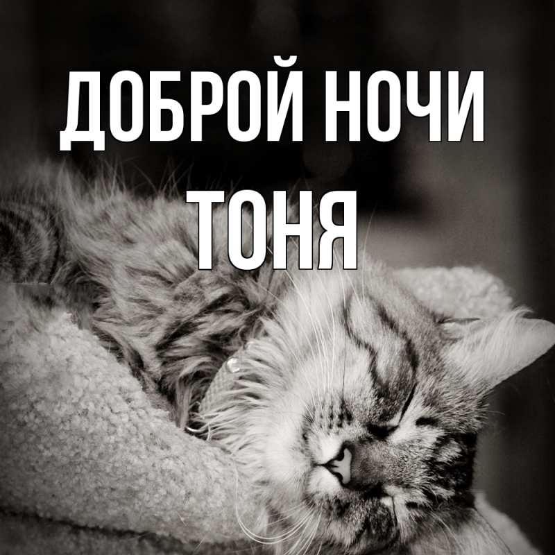 Картинка Доброй ночи, Тоня