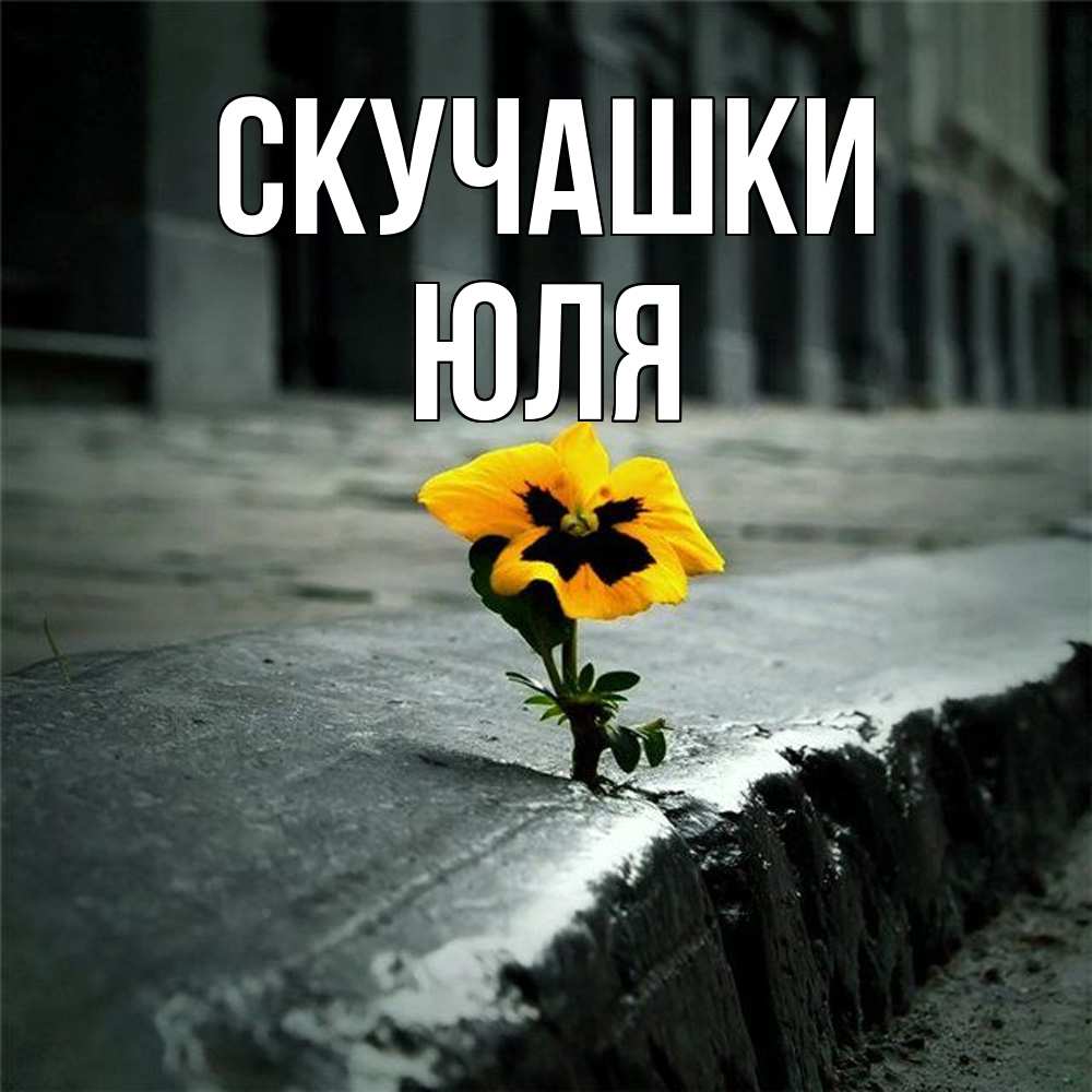 Открытка на каждый день с именем, Юля Скучашки надеюсь будет лучше Прикольная открытка с пожеланием онлайн скачать бесплатно 