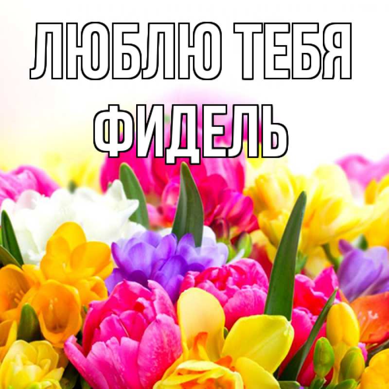 Открытка с именем, Фидель, Люблю тебя