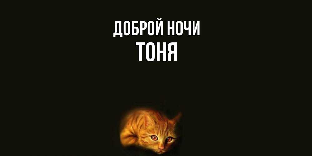 Открытка на каждый день с именем, Тоня Доброй ночи кот Прикольная открытка с пожеланием онлайн скачать бесплатно 