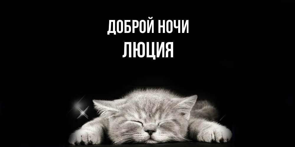 Открытка на каждый день с именем, Люция Доброй ночи спящий котик Прикольная открытка с пожеланием онлайн скачать бесплатно 