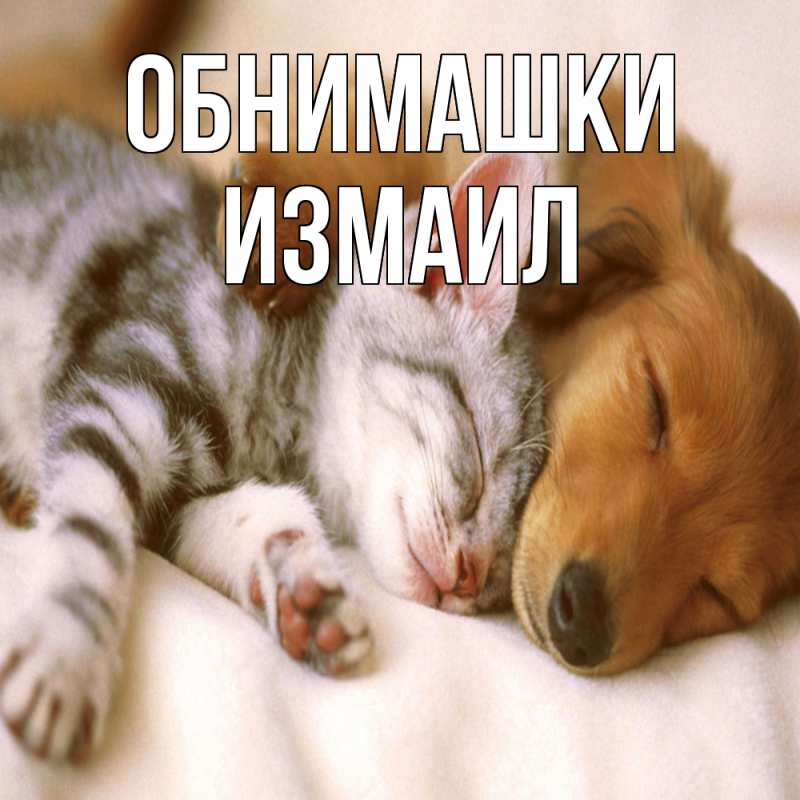 Картинка Обнимашки, Измаил