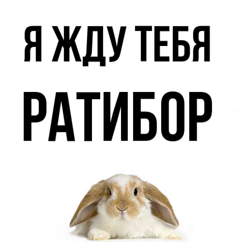 Картинка Я жду тебя, Ратибор