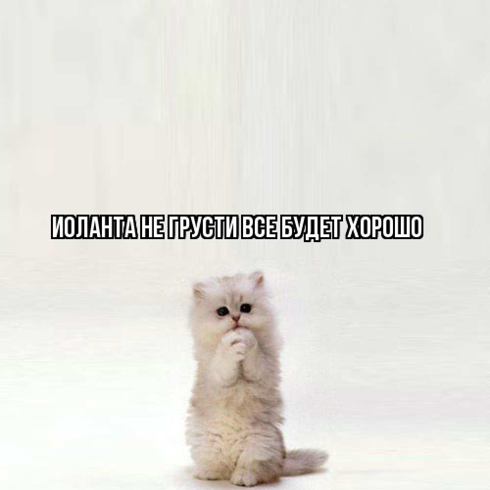 Открытка на каждый день с именем, Иоланта Не грусти все будет хорошо грустный кот Прикольная открытка с пожеланием онлайн скачать бесплатно 