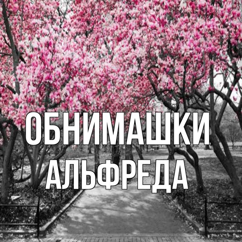 Картинка Обнимашки, Альфреда