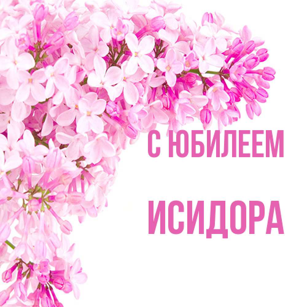 Открытка на каждый день с именем, Исидора C юбилеем Сирень на белом фоне Прикольная открытка с пожеланием онлайн скачать бесплатно 