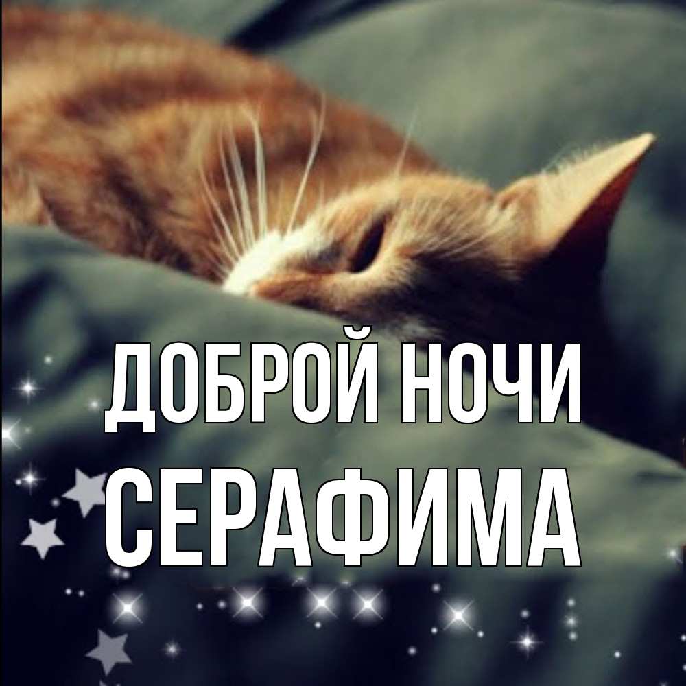 Открытка на каждый день с именем, Серафима Доброй ночи кроватка Прикольная открытка с пожеланием онлайн скачать бесплатно 