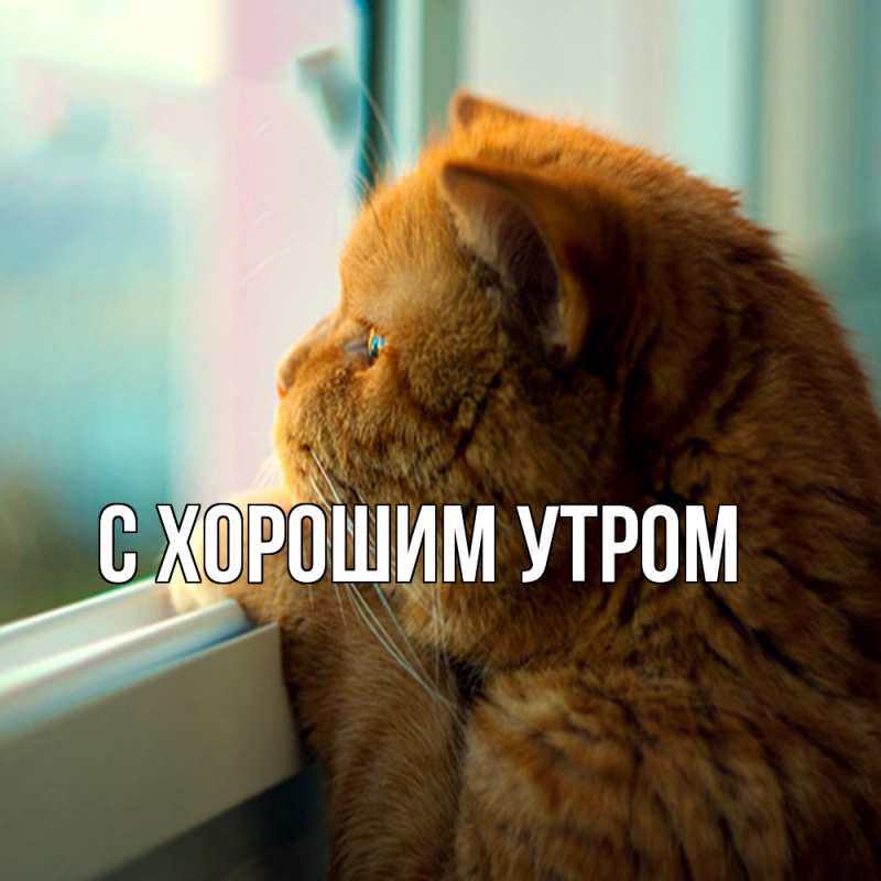 Открытка с именем, Тамаз, Обнимашки