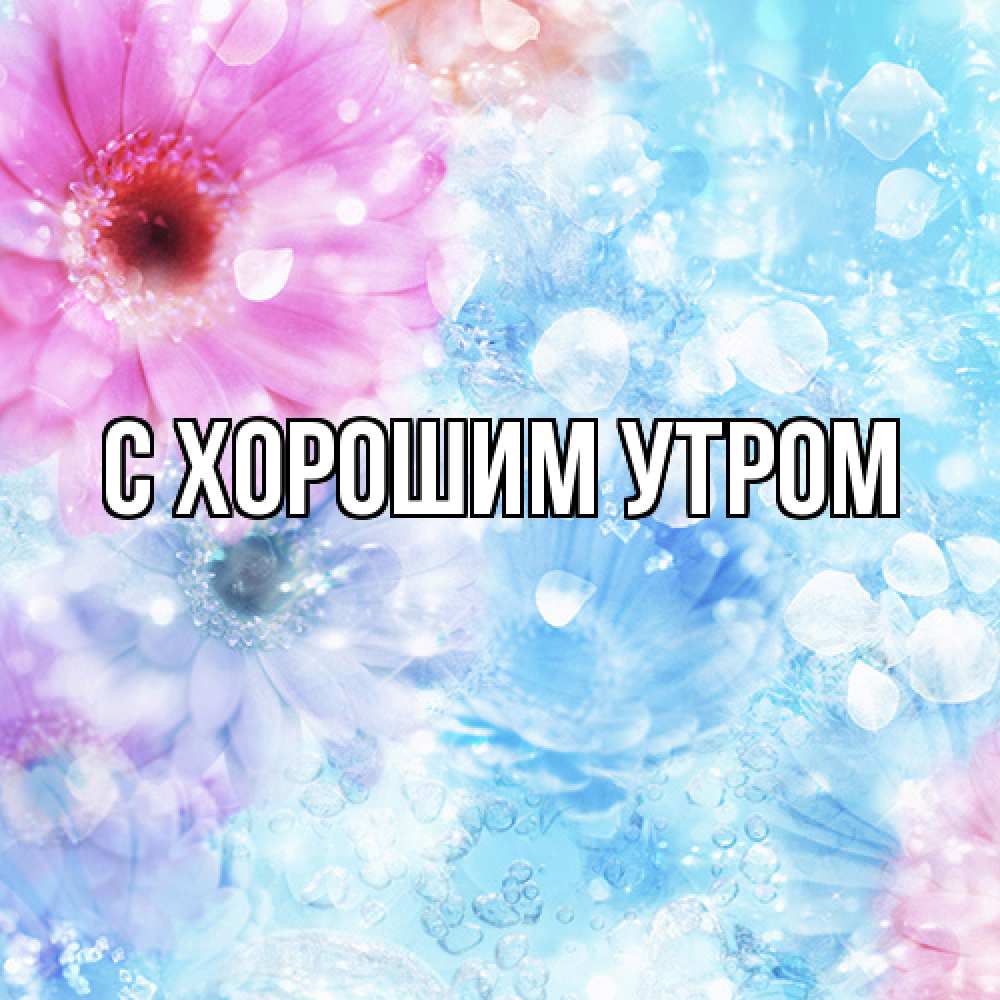 Открытка на каждый день с именем, Иван Люблю тебя цветы Прикольная открытка с пожеланием онлайн скачать бесплатно 