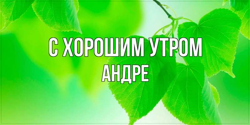 Картинка С хорошим утром, Андре