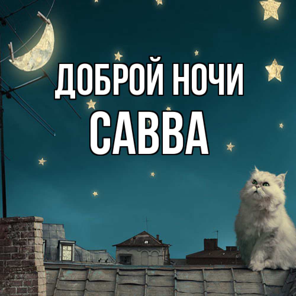 Открытка на каждый день с именем, Савва Доброй ночи белый кот сидит на крыше Прикольная открытка с пожеланием онлайн скачать бесплатно 