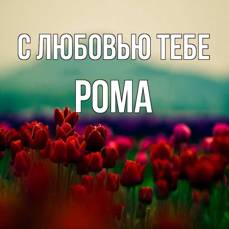 Картинка С любовью тебе, Рома