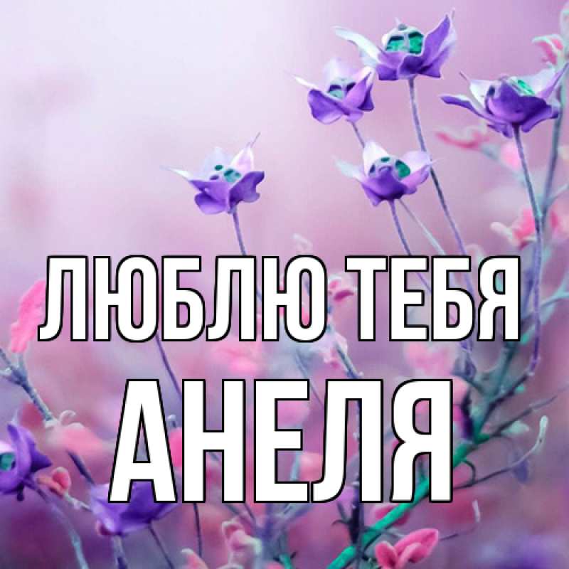 Картинка Люблю тебя, Анеля
