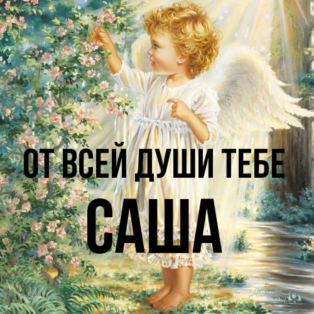 Открытка на каждый день с именем, Саша От всей души тебе собирает цветы Прикольная открытка с пожеланием онлайн скачать бесплатно 