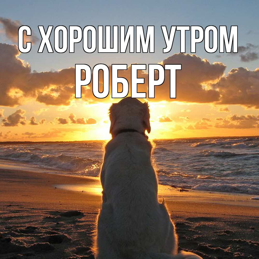 Открытка на каждый день с именем, Роберт С хорошим утром восход солнца Прикольная открытка с пожеланием онлайн скачать бесплатно 