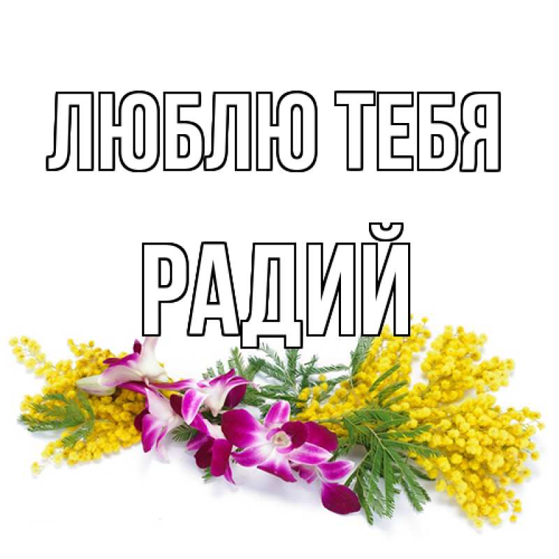 Картинка Люблю тебя, Радий