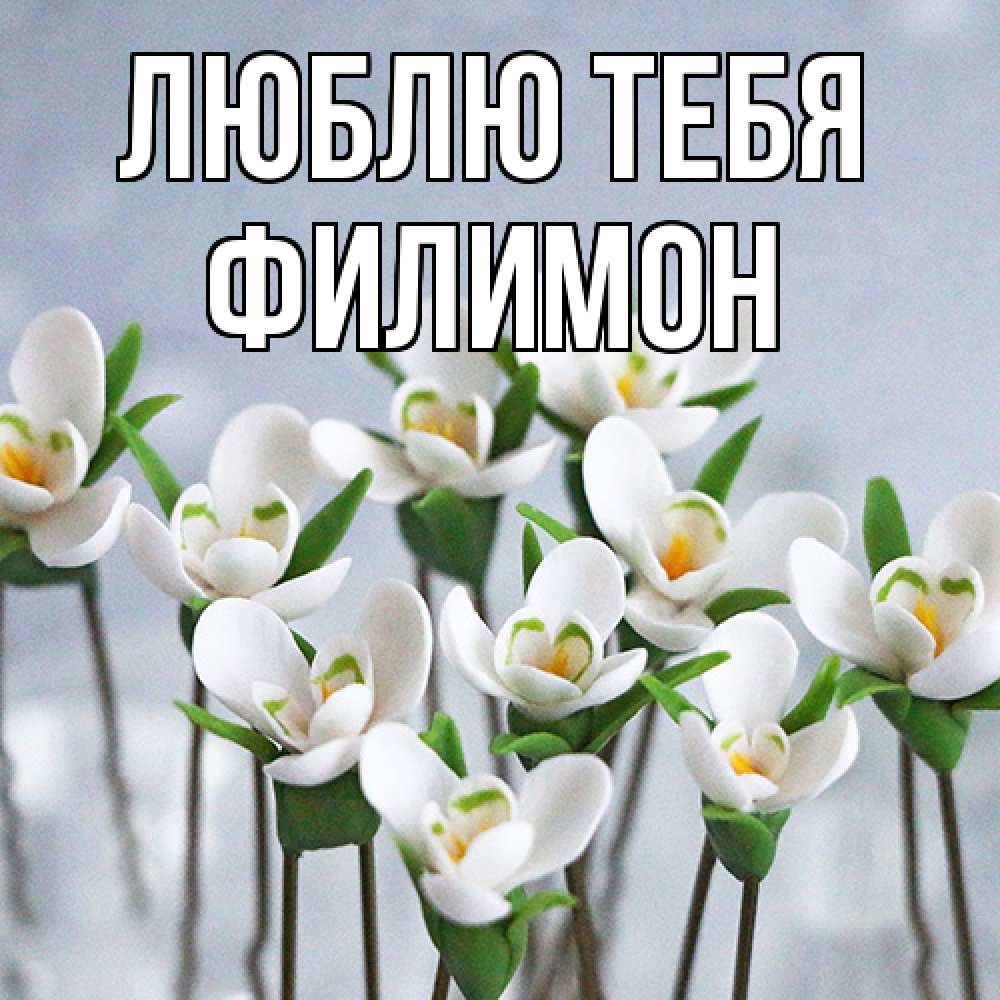 Открытка на каждый день с именем, Филимон Люблю тебя весенние цветы Прикольная открытка с пожеланием онлайн скачать бесплатно 