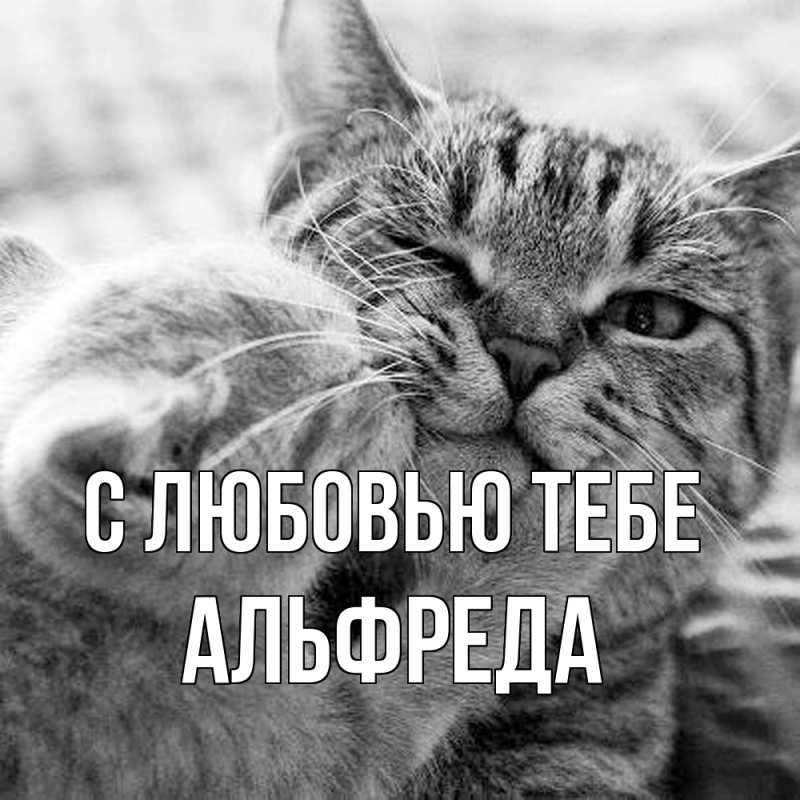 Картинка С любовью тебе, Альфреда