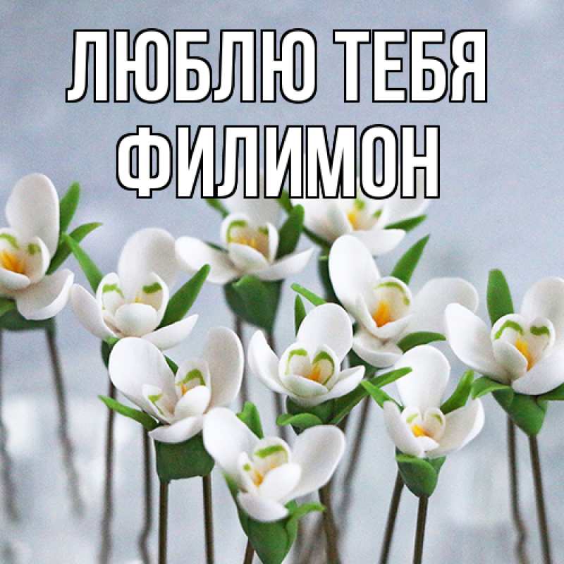 Картинка Люблю тебя, Филимон