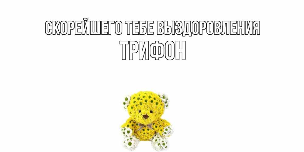 Открытка на каждый день с именем, Трифон Скорейшего тебе выздоровления мишка Прикольная открытка с пожеланием онлайн скачать бесплатно 