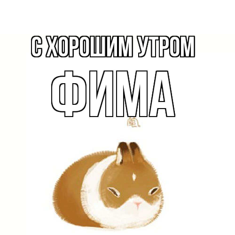 Открытка на каждый день с именем, Фима С хорошим утром хорошего утречка Прикольная открытка с пожеланием онлайн скачать бесплатно 