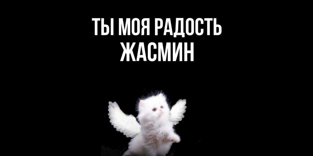 Открытка на каждый день с именем, Жасмин Ты моя радость Кот ангел Прикольная открытка с пожеланием онлайн скачать бесплатно 