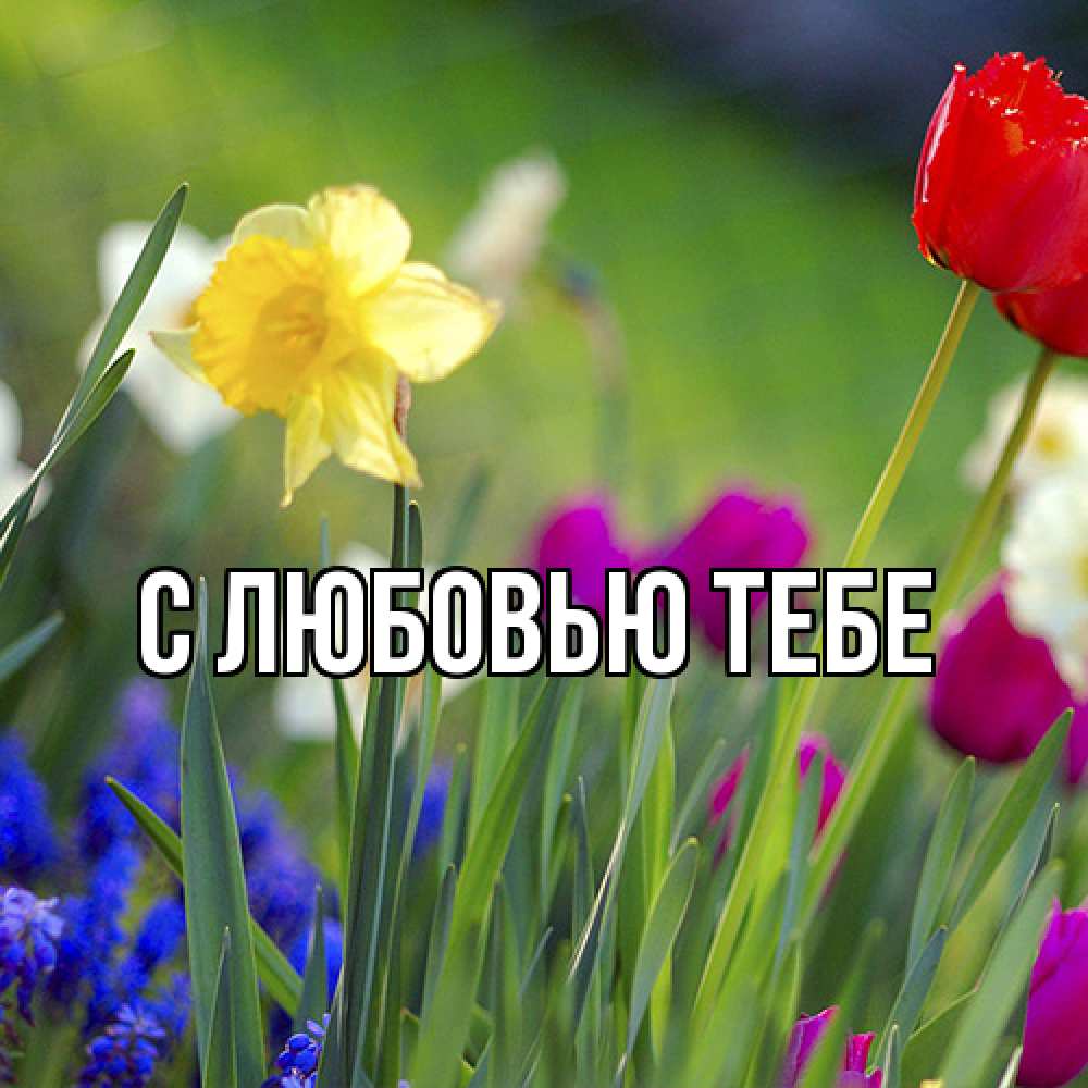 Открытка на каждый день с именем, Жан Люблю тебя международный женский день 3 Прикольная открытка с пожеланием онлайн скачать бесплатно 