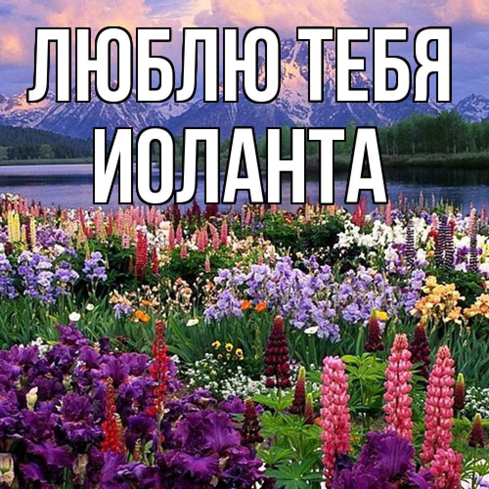 Открытка на каждый день с именем, Иоланта Люблю тебя международный женский день Прикольная открытка с пожеланием онлайн скачать бесплатно 