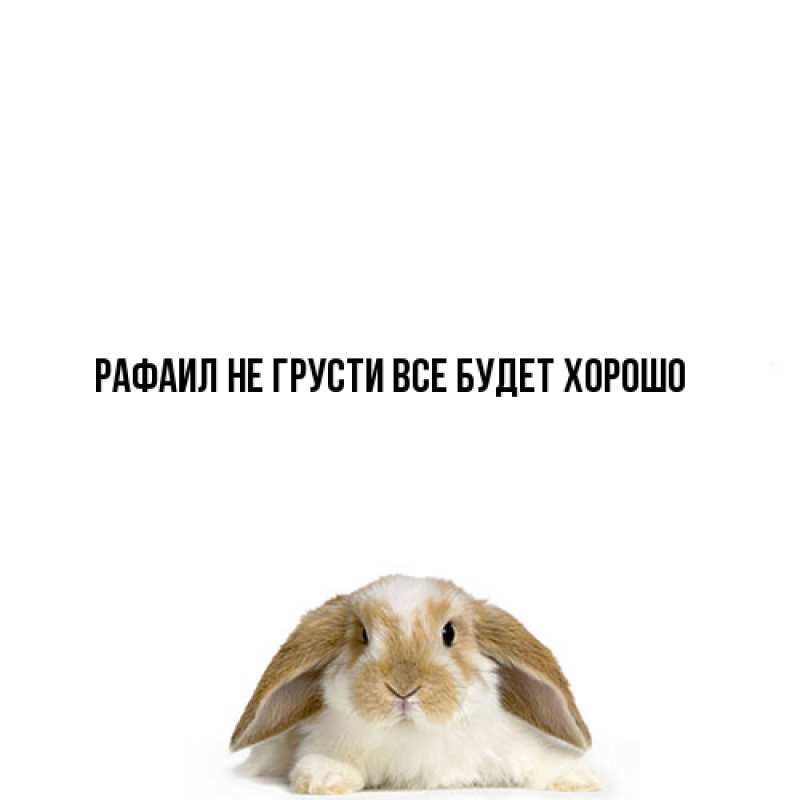 Картинка Не грусти, все будет хорошо, Рафаил