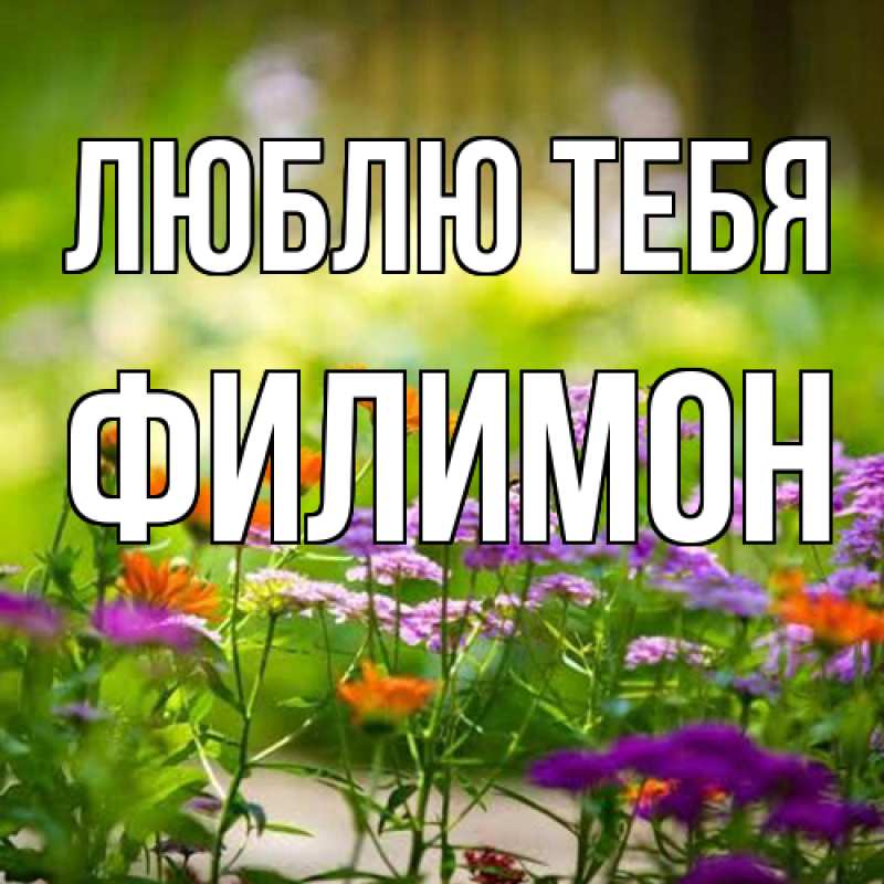 Картинка Люблю тебя, Филимон