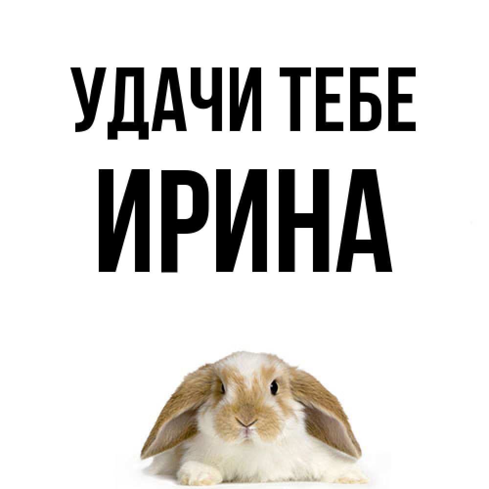 Открытка на каждый день с именем, Ирина Удачи тебе открытки с произвольным текстом который можно вставить в открытку и создать ее самостоятельно бесплатно онлайн Прикольная открытка с пожеланием онлайн скачать бесплатно 