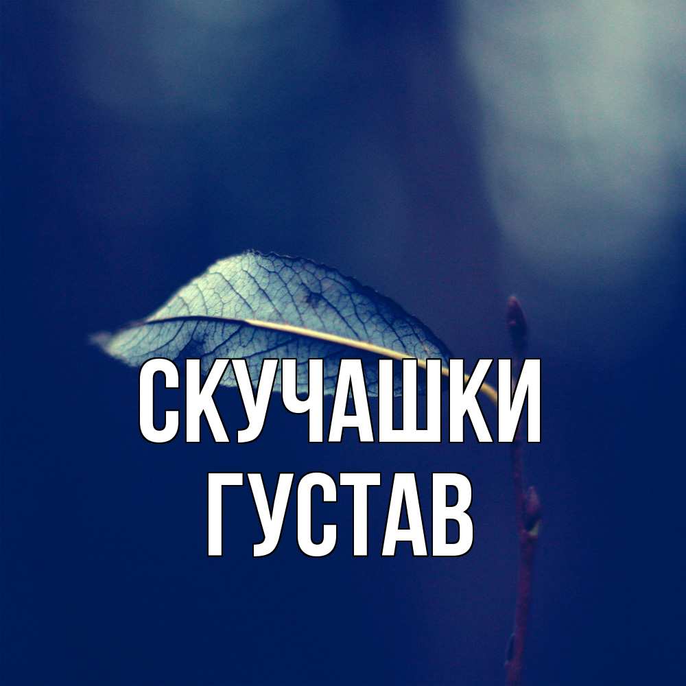 Открытка на каждый день с именем, Густав Скучашки одна ветка 1 Прикольная открытка с пожеланием онлайн скачать бесплатно 