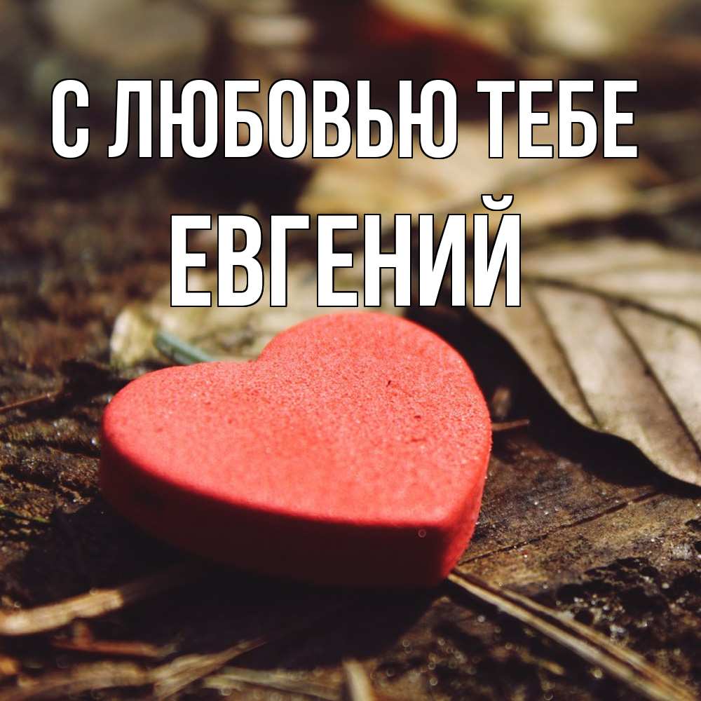 Открытка на каждый день с именем, Евгений С любовью тебе листья деревье 4 Прикольная открытка с пожеланием онлайн скачать бесплатно 