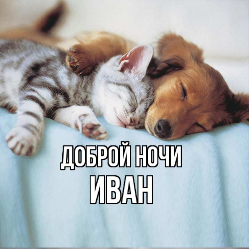 Картинка Доброй ночи, Иван