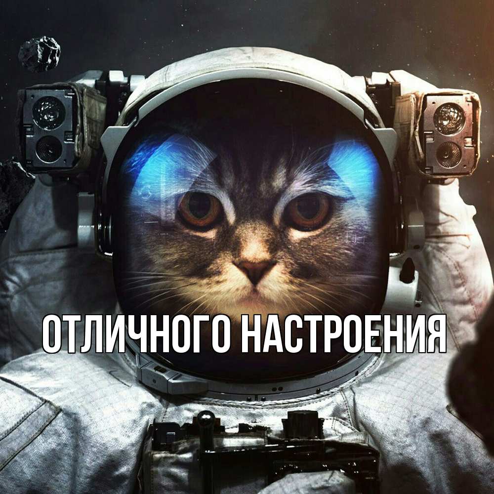 Открытка на каждый день с именем, Роза Удачной поездки желает удачно добраться Прикольная открытка с пожеланием онлайн скачать бесплатно 