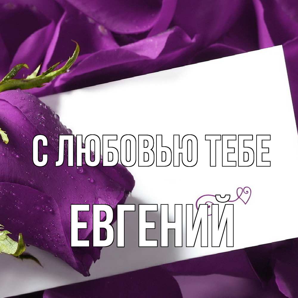 Открытка на каждый день с именем, Евгений С любовью тебе роза Прикольная открытка с пожеланием онлайн скачать бесплатно 
