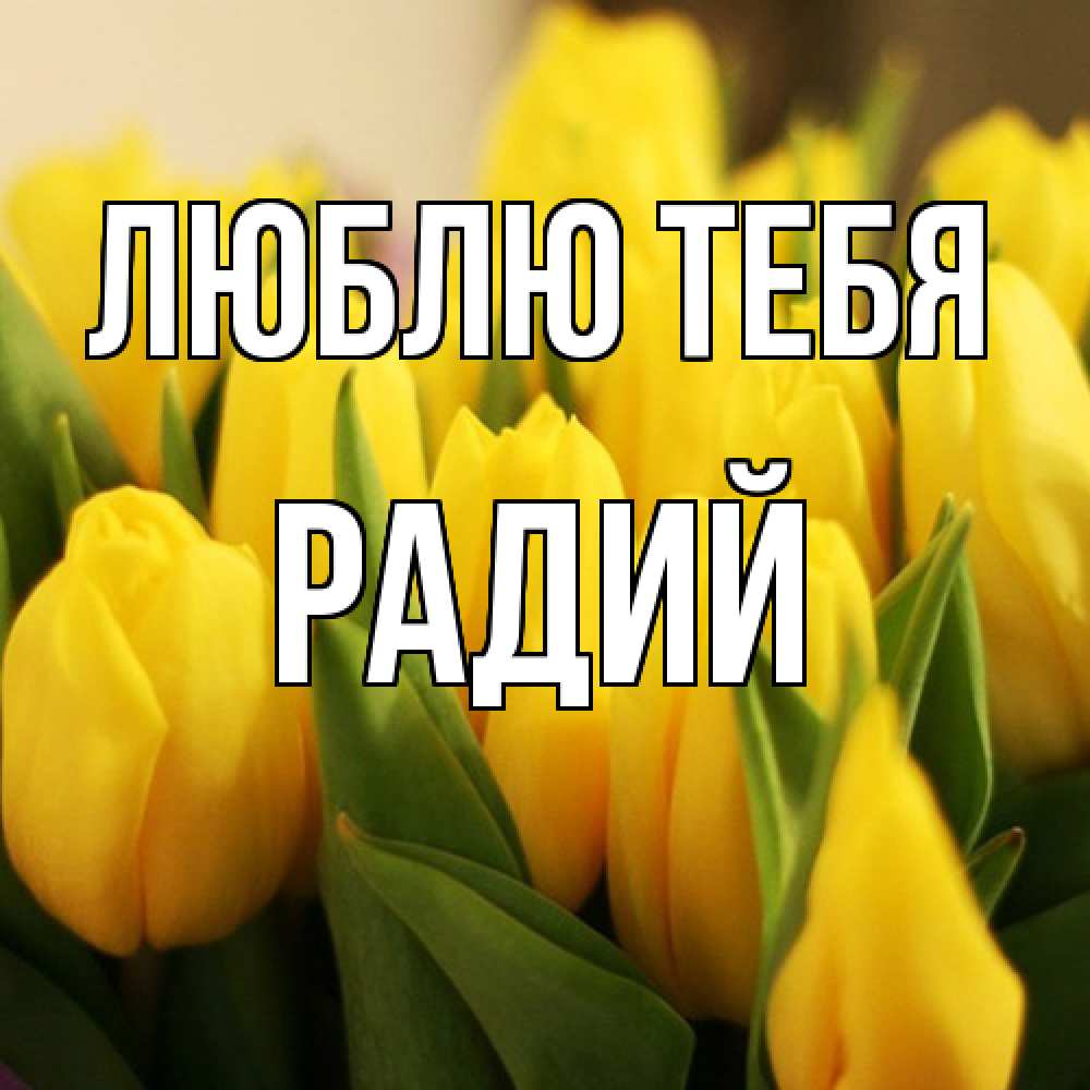 Открытка на каждый день с именем, Радий Люблю тебя цветы Прикольная открытка с пожеланием онлайн скачать бесплатно 