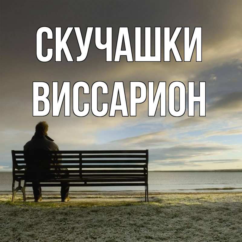 Картинка Скучашки, Виссарион
